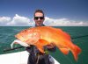 Lucky Tim's Coral Trout